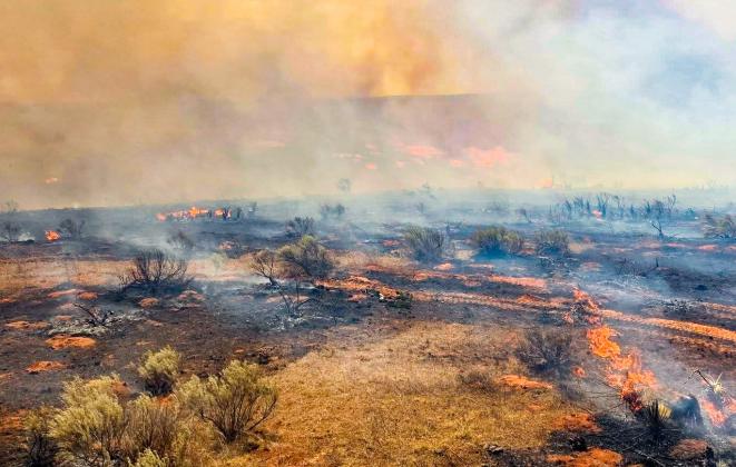 Dozens of fires break out across the Texas Panhandle Friday, May 15-Saturday, May 16, including the Baylor Creek Fire in Childress County, which consumed 195 acres. TURKEY VOLUNTEER FIRE DEPARTMENT