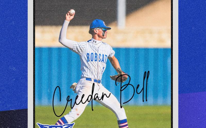 Bobcats earn