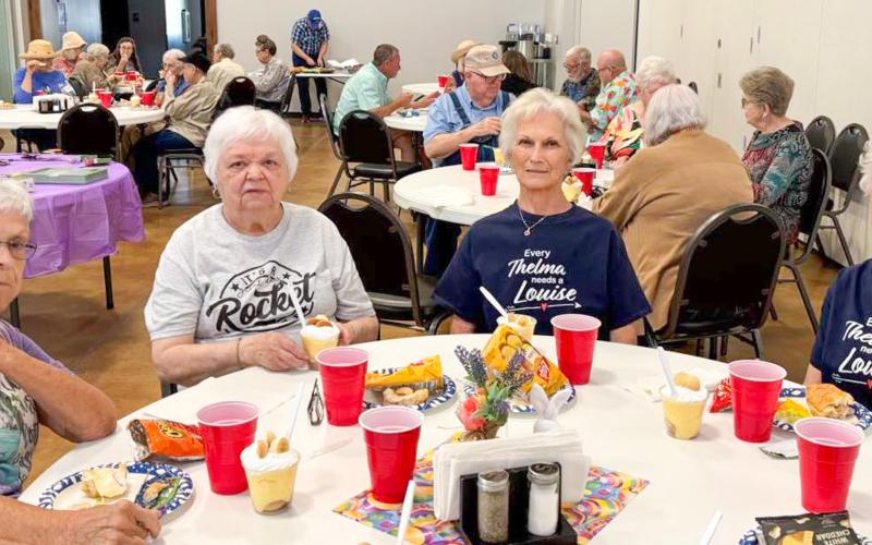 Members of the Wellington Senior Citizens Center dine on a picnic-themed meal of sub sandwiches, vegetables, chips and banana pudding, catered by Angel’s Subs &amp;amp; Sweets, for the Thursday, March 19 “Welcome, Spring” social. From left: Brenda Barton, Alta Porter, Beverly Rae, Pat Roberson. Wellington Senior Citizens Center