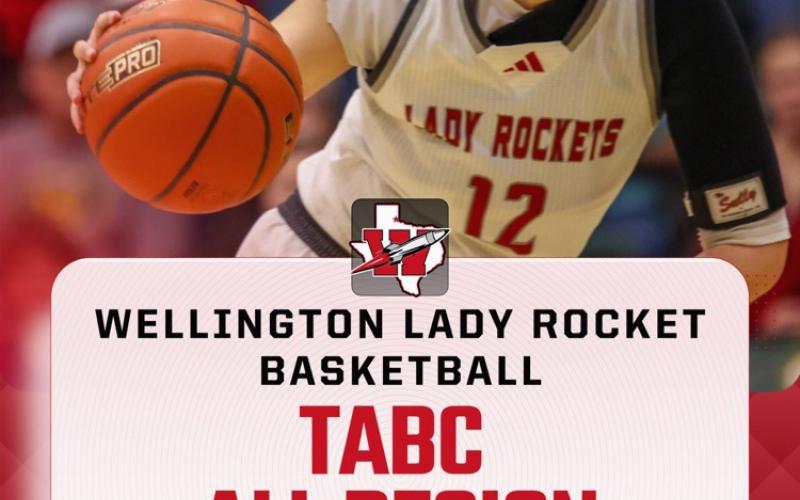TABC names all-region Wellington players