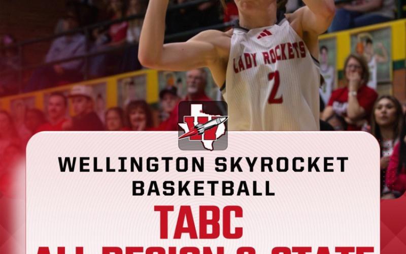 TABC names all-region Wellington players