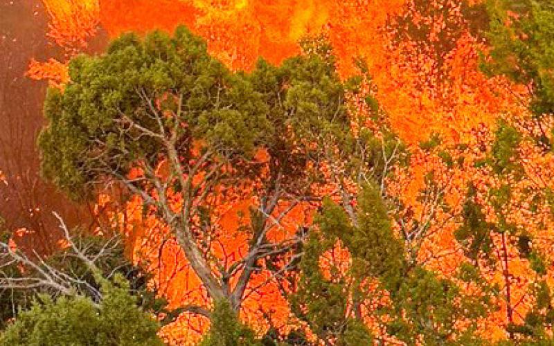 Local fire departments respond to the Ox Box Fire, which consumed over 1,000 acres in Hall County. HEDLEY VOLUNTEER FIRE DEPARTMENT