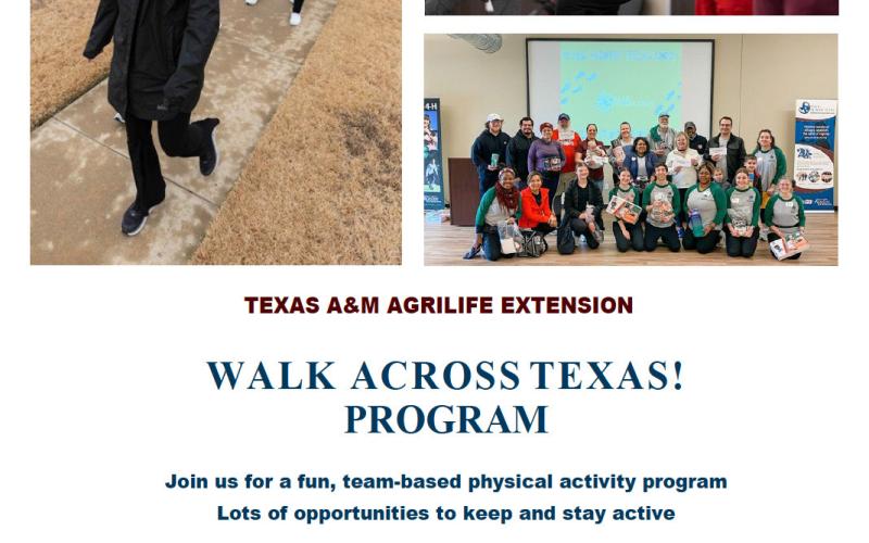Get your steps in with Walk Across Texas!