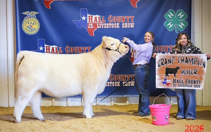 Hall County Junior Livestock Show welcomes over 30 exhibitors