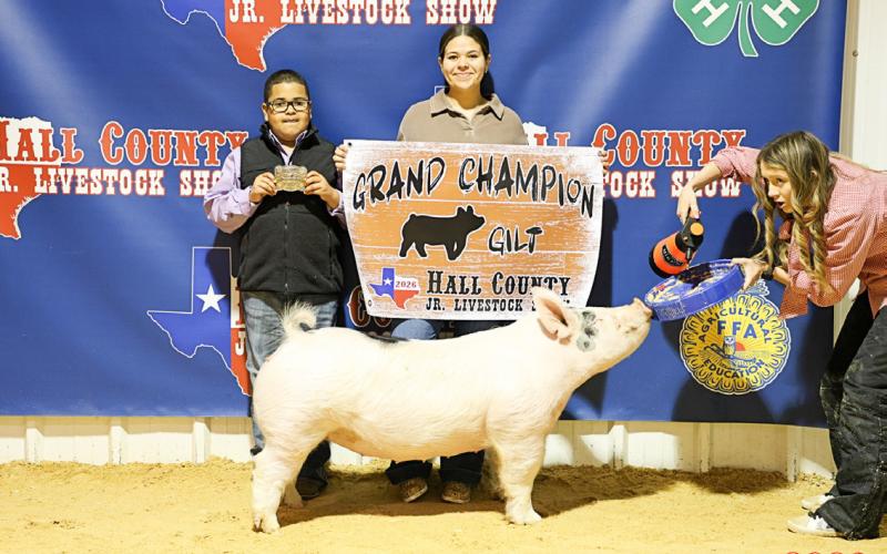 Titus Casas shows the Grand Champion Gilt at the Hall County Junior Livestock Show Saturday, Jan. 31 in Memphis.
