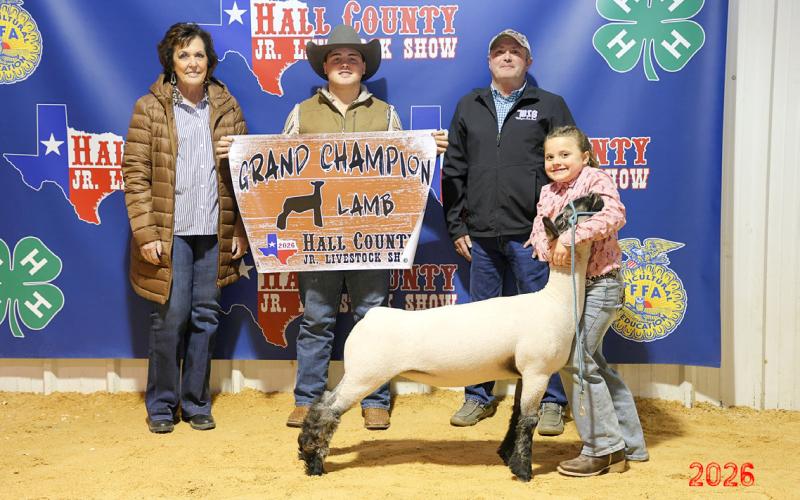 Cheyenne Perkins exhibits the Grand Champion Lamb at the Hall County Junior Livestock Show Saturday, Jan. 31 in Memphis.