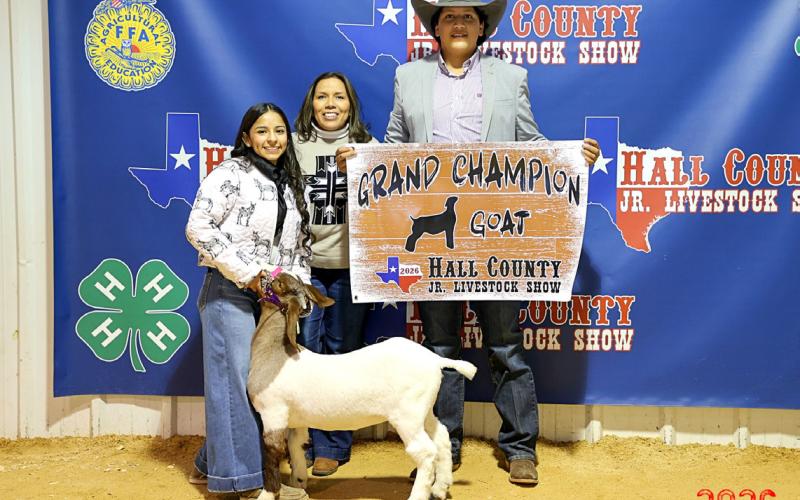 Narobi Espinoza wins Grand Champion Goat at the Hall County Junior Livestock Show Saturday, Jan. 31 in Memphis.