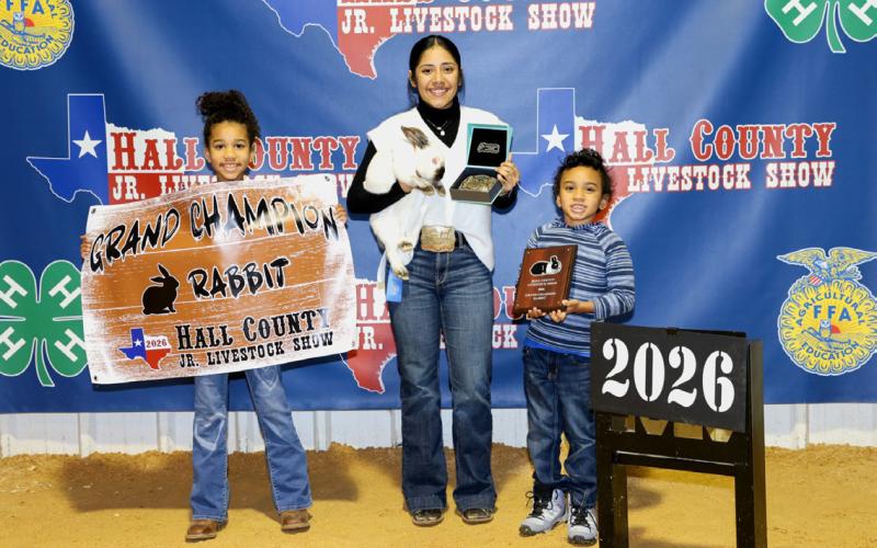 Juliana Soto shows the Grand Champion Rabbit at the Hall County Junior Livestock Show Saturday, Jan. 31 in Memphis.
