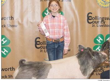 Brinley Mock shows the third-place Class 1 Cross, at the Saturday, Jan. 17 Collingsworth County Livestock Show, purchased by Collingsworth County Farm Bureau at the Premium Sale. Uplift Imaging