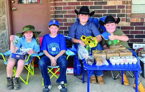 Childress Farmers Market welcomes 17-plus vendors