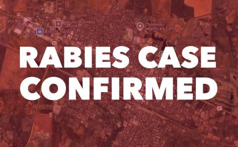 According to the Texas Department of State Health Services, a skunk, found in the Carey community, tested positive for rabies Thursday, April 3. The Red River Sun