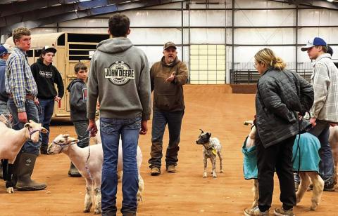 Lamb exhibitors recently prepare for the 2023 Childress County Youth Project show, which will be held Friday, Jan. 13 and Saturday, Jan. 14 at the Mashburn Event Center and Arena. Photo by Larissa Detwiler