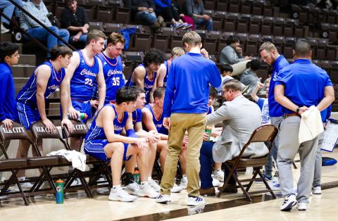 Bobcat basketball spotted in action
