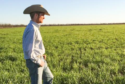 A farmer, attorney and the mayor of Stamford, James Decker will serve as the keynote speaker at the 2025 Collingsworth County Chamber Awards Banquet set for 6:30 p.m. Saturday, Nov. 8 at the Bura Handley Community Center. James Decker