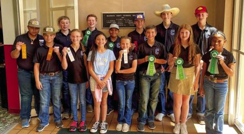 Childress County 4-Hers compete at District 3 Roundup, Livestock Quiz Bowl