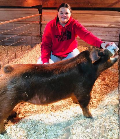 Livestock show senior showcase