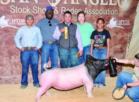 Childress’ Blaze Session recently competes at the San Angelo Stock Show and Rodeo, earning fifth place in his class with his dark crossbred. Courtesy Photos