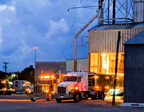 Collingsworth County documents record wheat crop