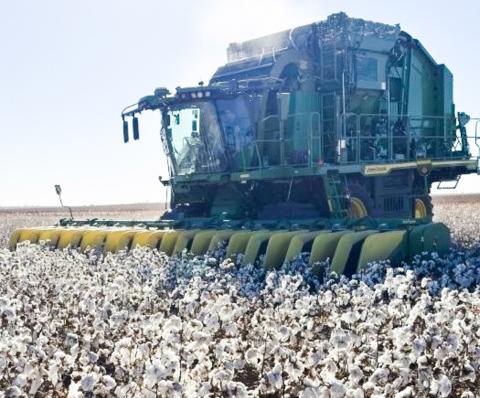 With a John Deere 770 cotton stripper, Collingsworth County producer Rusty Strickland harvests his 2025 irrigated crop in the Marilla community, north of Quail. Cotton harvest for Strickland Farms be-See gan in early November and finished the middle of December. Strickland Farms