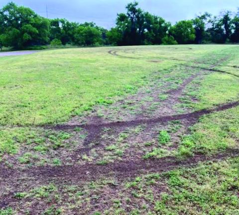 Tire marks are left in the Memphis City Park grass. Courtesy Photo