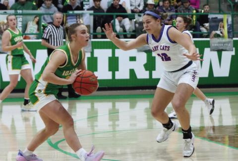 Lady Cats upset in bi-district round