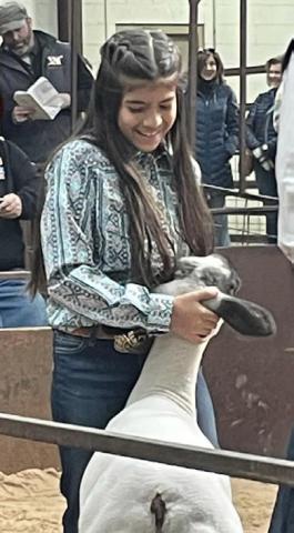 Collingsworth County Livestock Show in the books