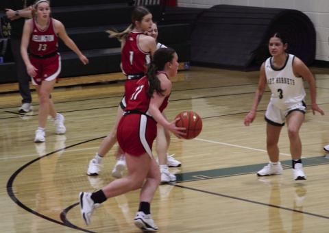 Skyrockets, Lady Rockets bargain for basketball action
