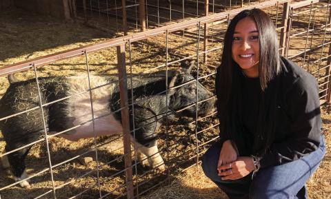 Wellington seniors experience final livestock show season