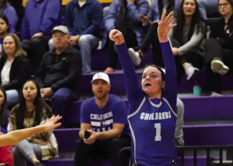 Lady Cats pick up all-district tributes