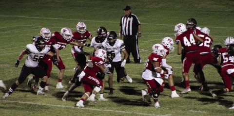 Wellington beats up Wheeler