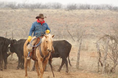 Since February 1986, Byron Bell has embraced the cowboy way of life on Collingsworth County’s historic Mill Iron Ranch. Bell served as ranch foreman since 1991. Molly A. Sims Photography