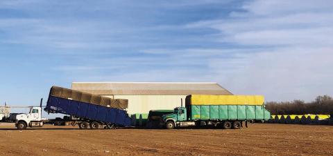 Truck drivers unload the final modules of the 2024 cotton crop, which was cut short due to a lack of rain, at Wellington’s Farmers Co-Op Gin Thursday, Dec. 19. The Red River Sun/Bev Odom