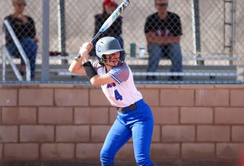 Lady Cats take on Tigerette Classic