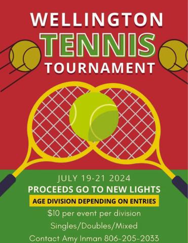 Tennis fundraiser adds to Ellison Park renovation