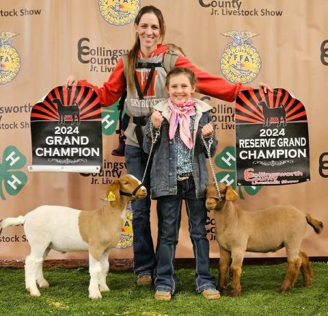 Wellington Elementary School third-grader Raylie Sims earns Grand Champion Goat and Reserve Champion Goat at the 2024 Collingsworth County Livestock Show Saturday, Jan. 13. Her mother, Molly Sims, displays the championship banners. For her first official livestock show, Sims also exhibited two lambs and two steers. Courtesy Photos
