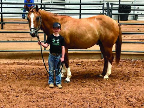 Childress County 4-H Horse Club hosts Halter Clinic