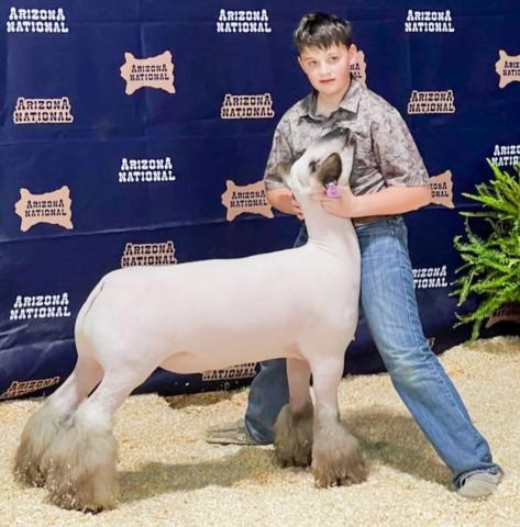 Wellington High School freshman Baron Mitchell takes fourth place in the Class 24 Medium Wool Lamb Division at the recent Arizona National Livestock Show in Phoenix. Mitchell’s next show will be the Collingsworth County Livestock Show on Saturday, Jan. 17 at Wellington Fairgrounds. Wellington High School
