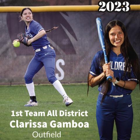 Lady Cats garner all-district honors
