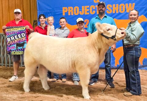 Memphis sisters make mark at King County heifer show