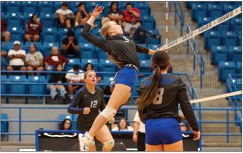 Lady Cats sting Hornets