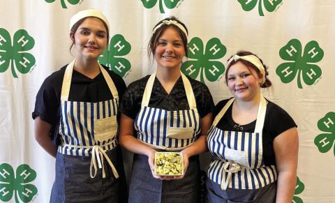Hall County 4-H members, including the Senior team of Jordyn Altman, Hadleigh Gurley and Zada Todd, who finished top 10 in Side Dish, compete at the Food Show at the Big Fun in D1! Fall Roundup Monday, Oct. 27 at the Tri-State Fairgrounds Rex Baxter Building in Amarillo. Hall County 4-H