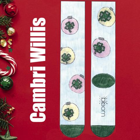 Childress’ Cambri Willis wins Texas 4-H Youth Development Foundation Christmas Sock Design Contest