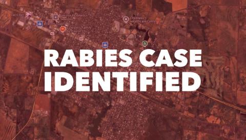 According to the Texas Department of State Health Services, a skunk, found dead in a yard on Ave. C SE in Childress, tested positive for rabies on Thursday, Feb. 27. The Red River Sun
