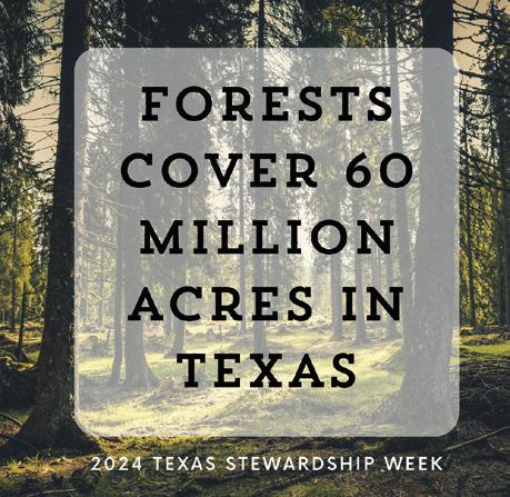 Texas Soil and Water Stewardship Week showcases the significance of forests