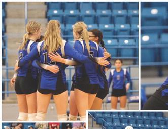 Battle of the Lady Cats
