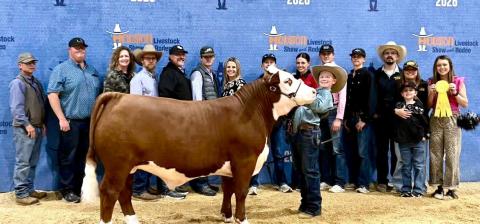 Hall County livestock exhibitors, including Tucker Brooks, who took fifth place with his light-weight polled Hereford, compete at the Houston Livestock Show and Rodeo.