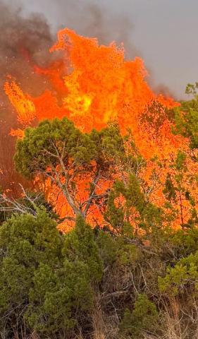 Local fire departments respond to the Ox Box Fire, which consumed over 1,000 acres in Hall County. HEDLEY VOLUNTEER FIRE DEPARTMENT