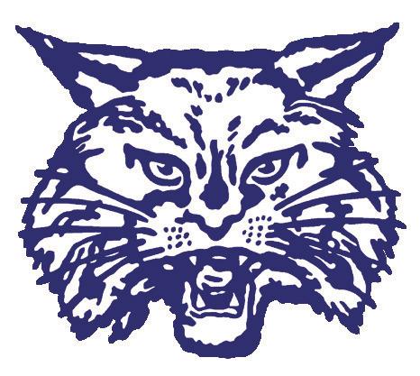 Childress’ Henderson, Lomax named to area sports media volleyball teams