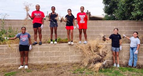 Coached by Prentice Coffee and Yael Garcia, the 2032 Lady Rockets, including, from left, Brilynn Coffee, Aliyah Coffee, Jaedah Casas, Aryen Garcia, Aubrey Coffee, Berkeley Ward and Penelope Hernandez, clean the flowerbeds of Wellington Fairgrounds prior to the Fourth of July events this weekend. Teammates out of town at the time were CJ Henard, Kenlea Martin and Mariah Medina Courtesy Photo