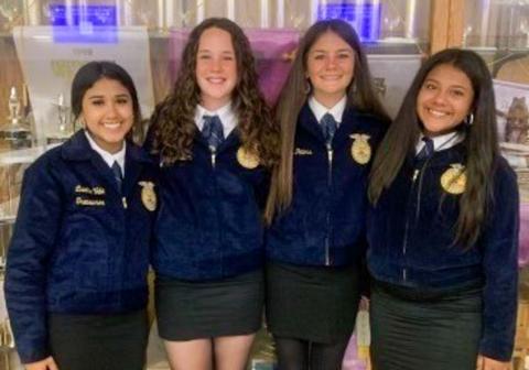 Ladies represent Wellington FFA